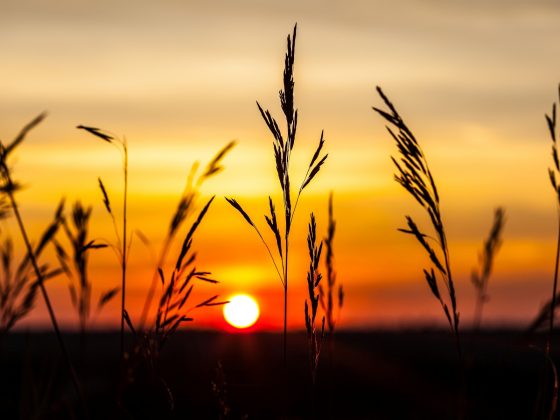 Tadabbur Al-Qur'an Surat Al-Ikhlash 1 sunset