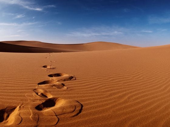 Al-Ilhad (Menyimpang dari Kebenaran) 1 padang pasir