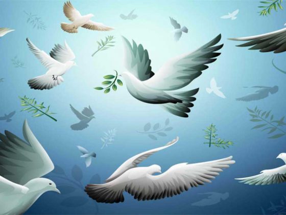 Ma’na Al-Islam (Makna Islam) 1 al mumtahanah islamcitydotcom