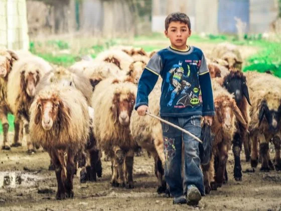 Penghormatan dan Pemuliaan Adam ‘alaihis salam 6 Zakat