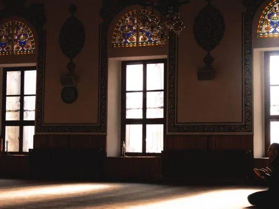 pexels photo 2112049 e1594746809988