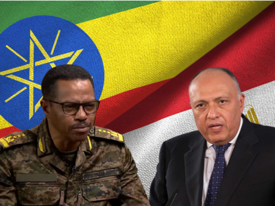 Mesir Respon Statemen Jenderal Ethiopia Bahwa Mesir Tak Mampu Hancurkan Bendungan Hidase. 4 Mesir Ethiopia