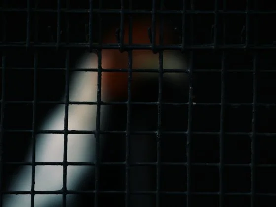 Sabar Menghadapi Makar 9 pexels sk 745731