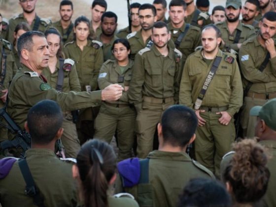 WhatsApp Image 2021 08 26 at 15.53.49