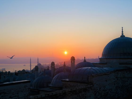 Tajdid Kontemporer dan Relevansi Bermazhab (Bag. 4) 7 pexels konevi 2236674