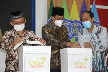 UMSIDA