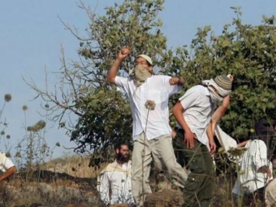 Para Pemukim Baru Melakukan Serangan di Tulkarm 2 pemukim israel melakukan serangan