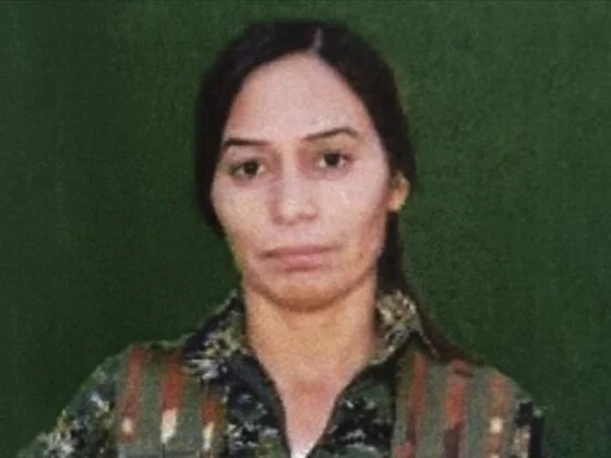 Teroris Senior PKK