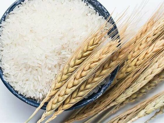 Kapan Waktu Membayar Fidyah? 10 Fidyah