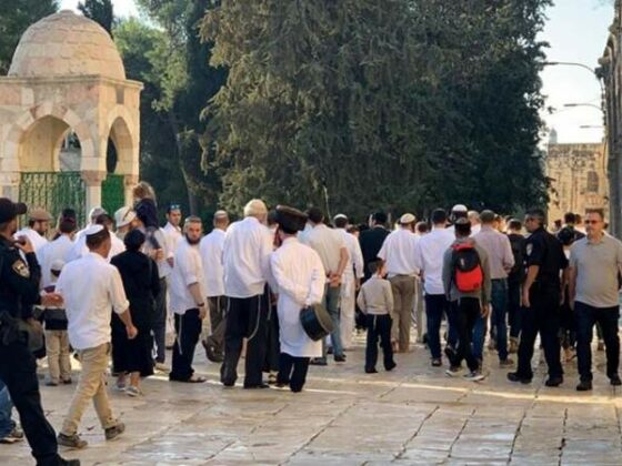 Pada Hari Pertama Liburan Paskah Puluhan Pemukim Masuk ke Al-Aqsha 5 Pemukim Yahudi menodai Al Aqsa 2
